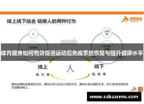 体育健身如何有效促进运动后免疫系统恢复与提升健康水平